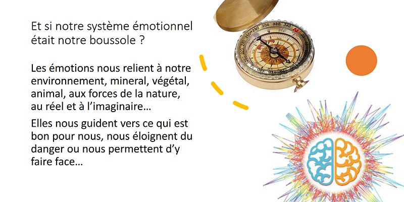 Web conference : De la boussole émotionnelle à l’intuition